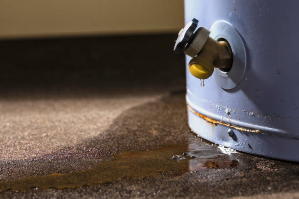 Trusted Bridgeport, WA Water damage restoration Experts