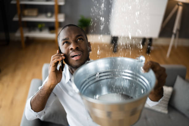 Best Local water damage restoration  in Bridgeport, WA