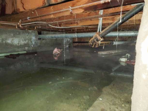 Best 24/7 water damage repair  in Bridgeport, WA