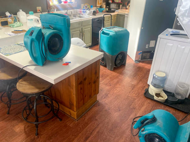 Best Emergency water damage restoration  in Bridgeport, WA