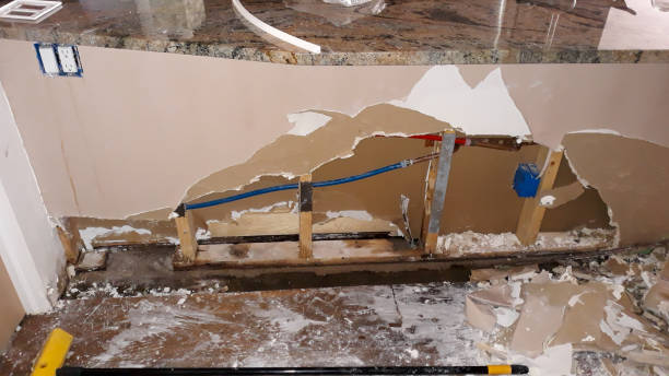 Best Ceiling water damage repair  in Bridgeport, WA