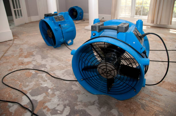 Best Emergency water extraction  in Bridgeport, WA