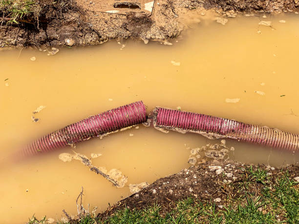 Best Water damage restoration process  in Bridgeport, WA